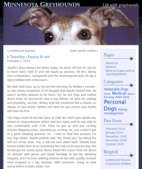 Minnesota Greyhound Rescue Blog