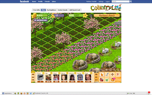 Facebook - Country Life Ad Remover
