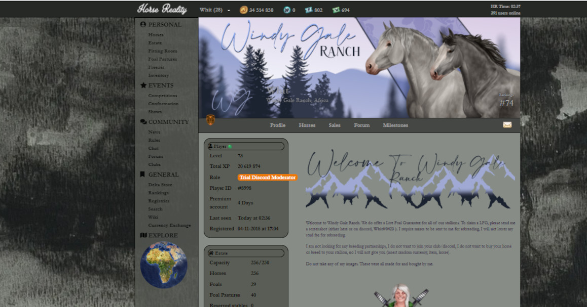 Free theme B&W