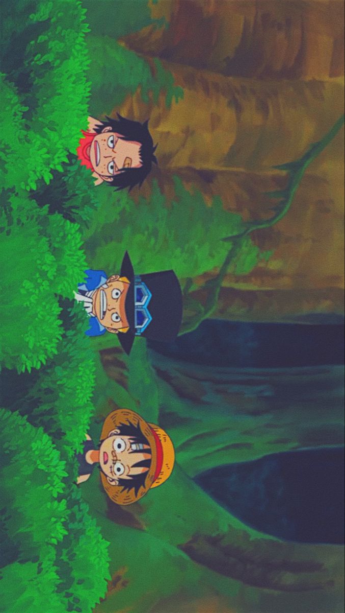 sabo ace and luffy