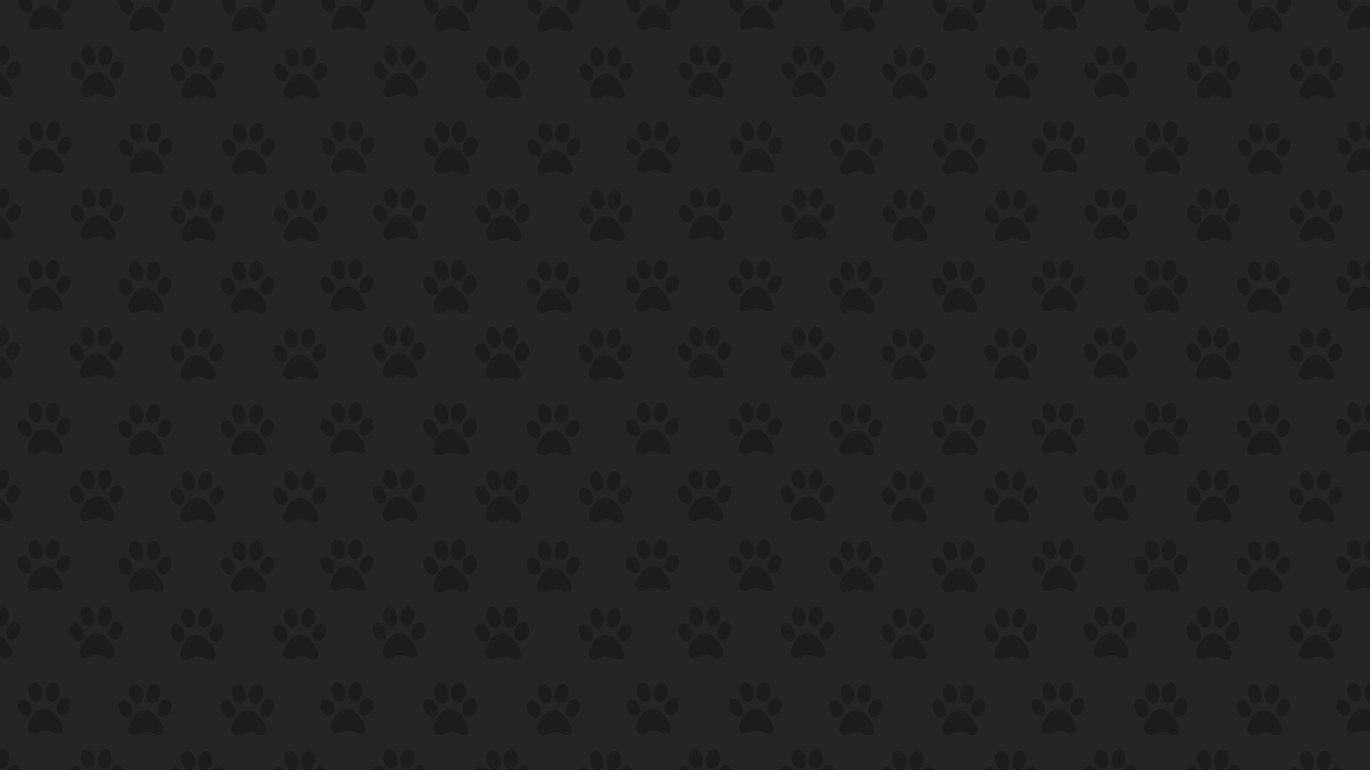 temp broken!! paw roblox dark theme