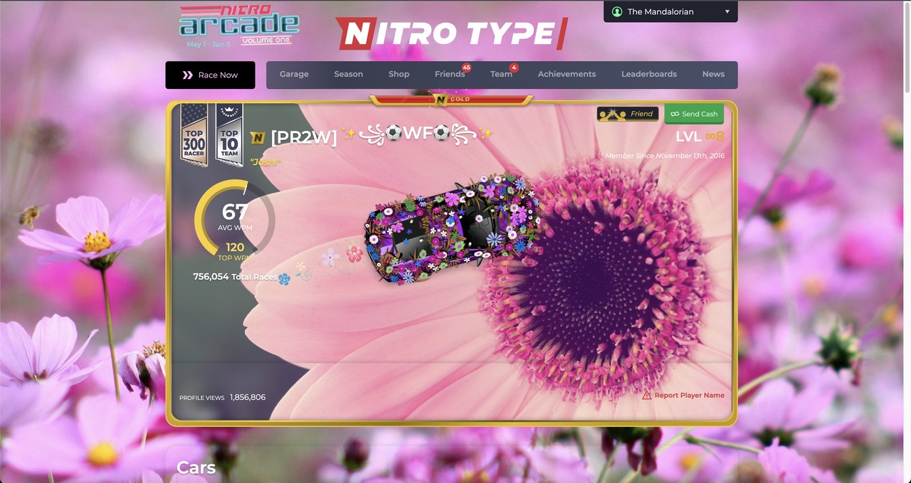 Wildflower Nitro Type Theme