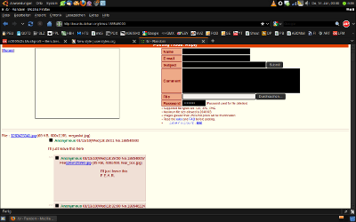 4chan Hover Images