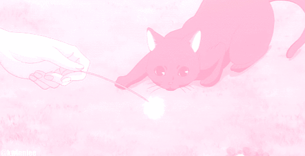 Pink cat kawaii - Roblox background