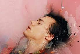 harry styles (hs1) Roblox theme