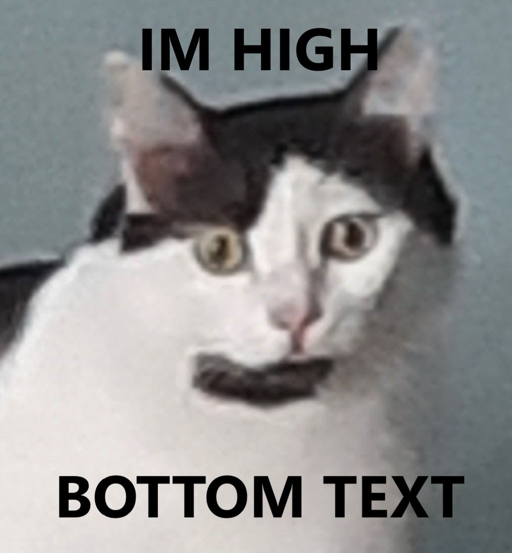 Cat high on weed(broken)