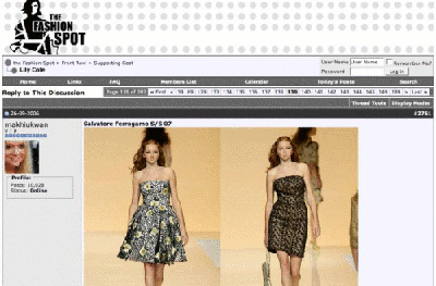 The Fashion Spot Simple (beta)