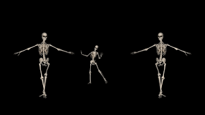 3 Skeletons Dance