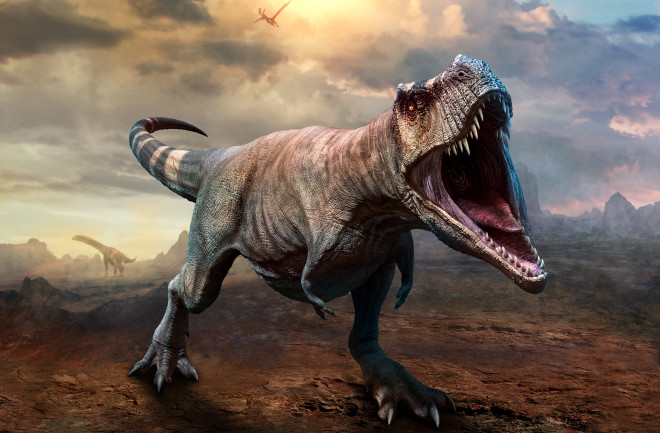 Dino Classroom