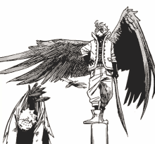 hawks. moving gif