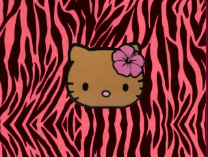 zebra hello kitty print