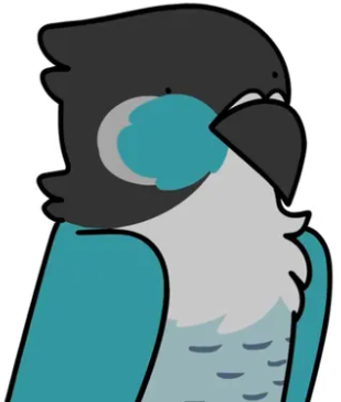 Ari Ari