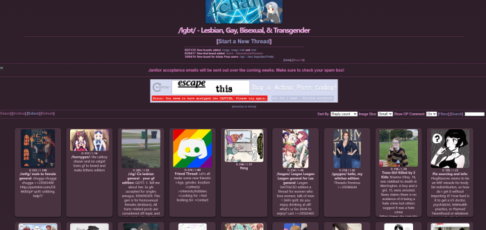 Pink Pill 4Chan