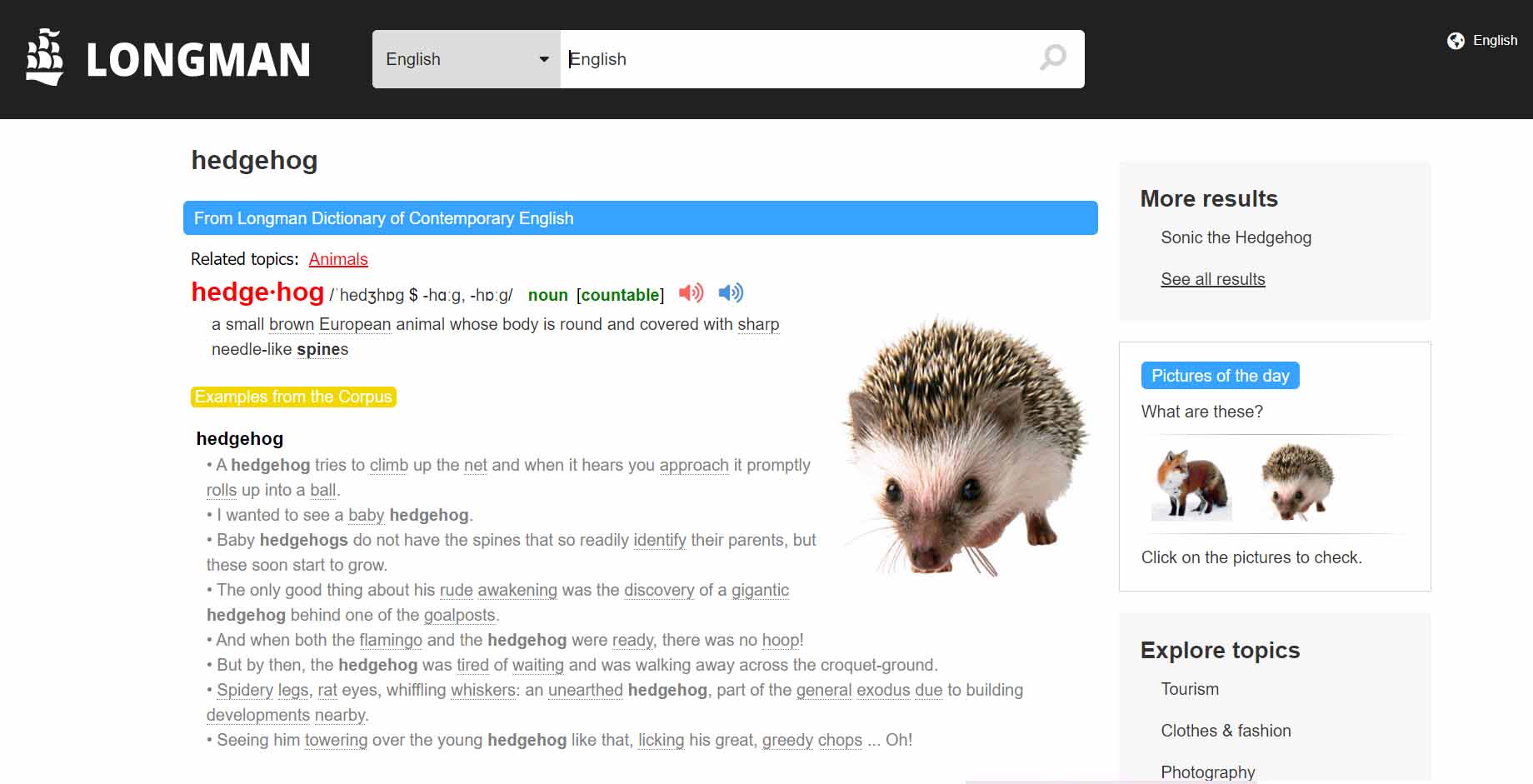 Longman Dictionary With No Ads