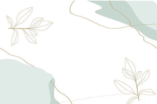 Minimalistic Minimal Boho Roblox Background Theme