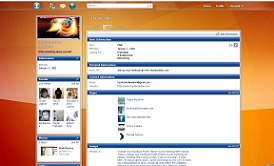 Facebook Skin Orange Glossy