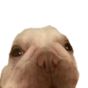 2222kobekobekobekobekobekobekobekobekobe1 progress