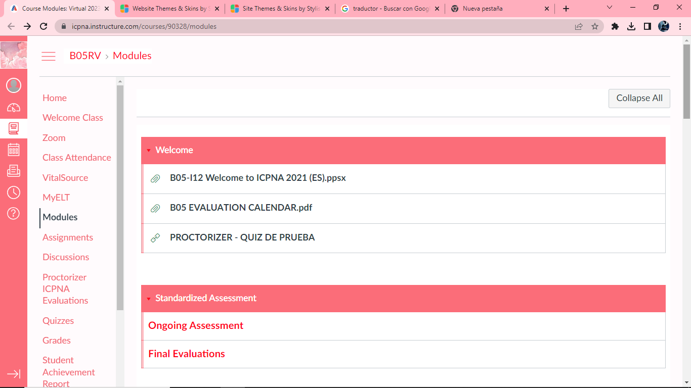 Canvas Pink Aesthetic