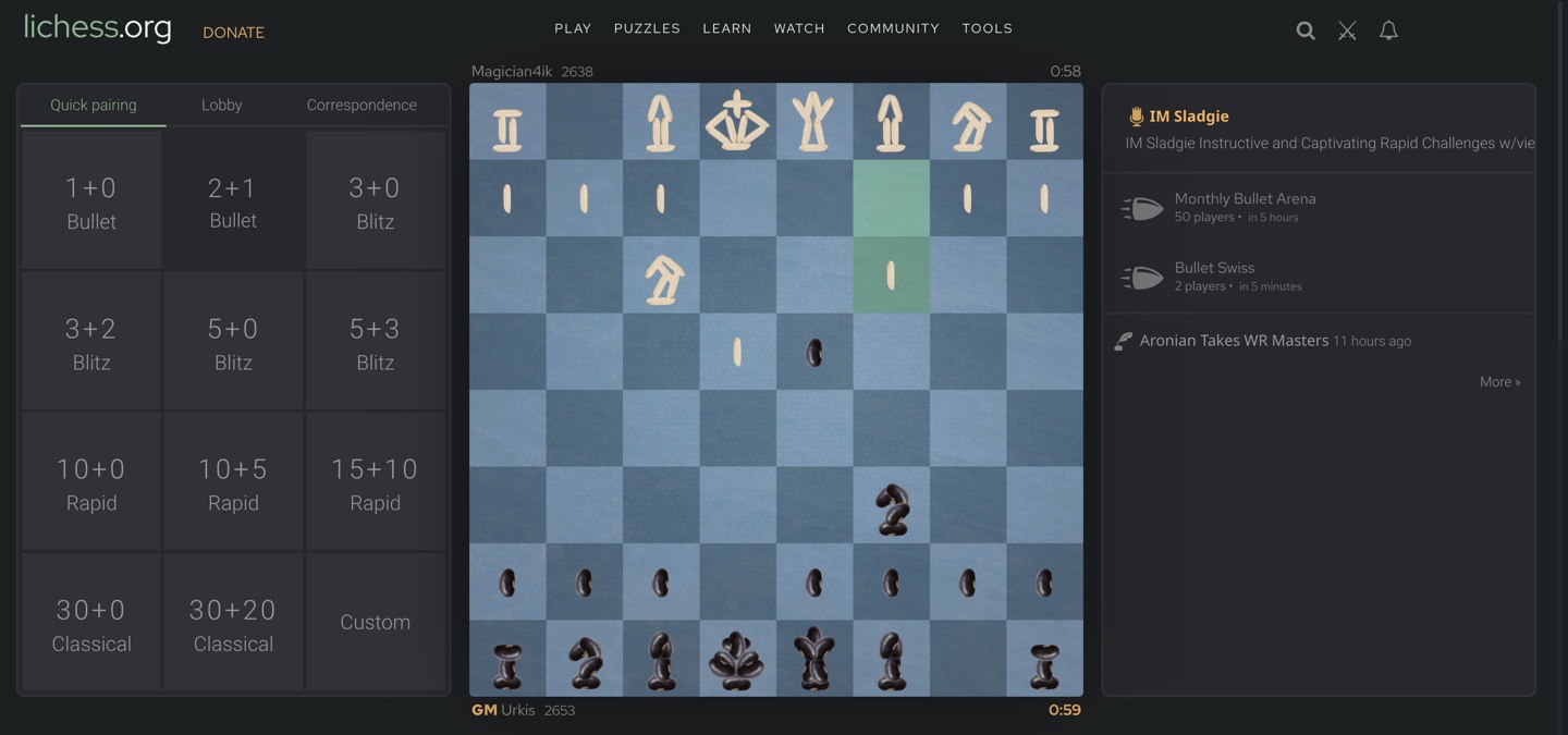 Riceee and Beanz Lichess Pieces
