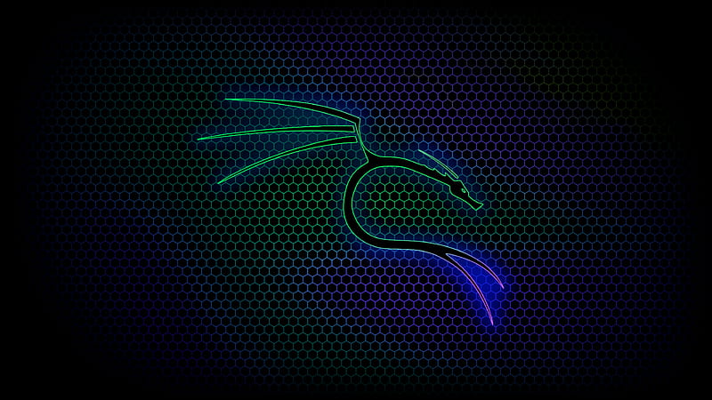kali linux