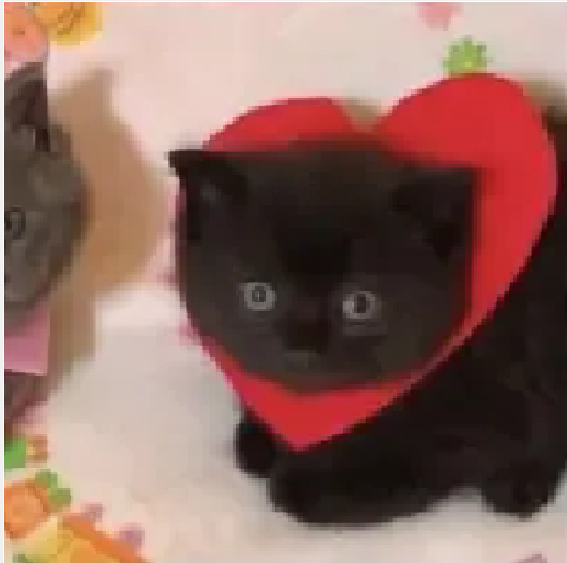 testinggg becaus elike yexvsdhjf