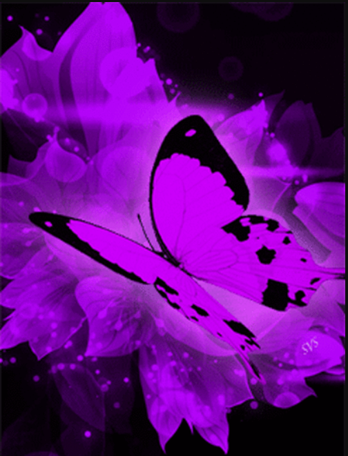 purple butterfly Roblox theme