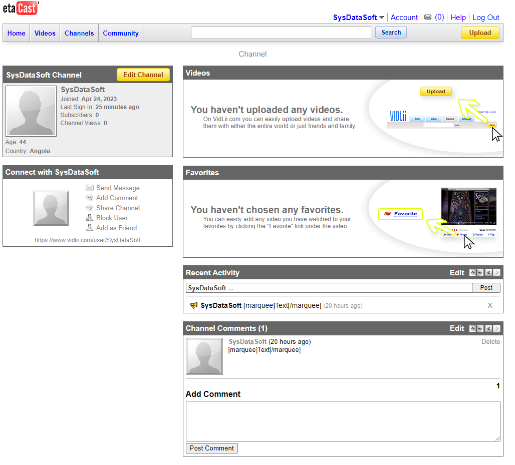 BetaCast logo for VidLii