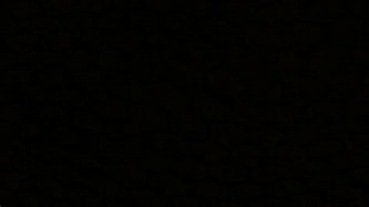 Full Black ROBLOX Theme