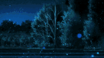 Forest Aesthetic Fireflies