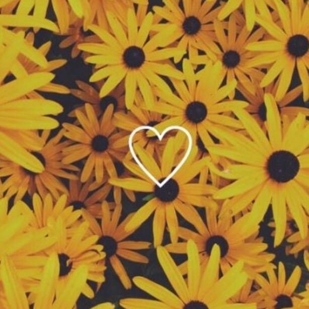 Beige Google meet for chrome google meet