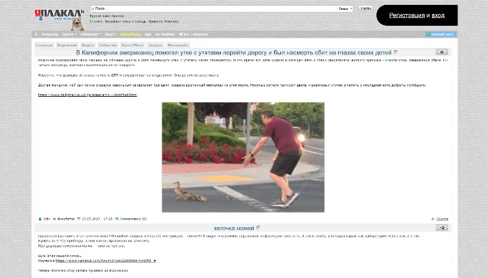 ЯПлакалъ GREY (yaplakal)