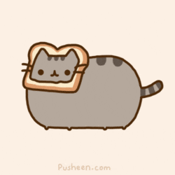 Pusheen the toast cat