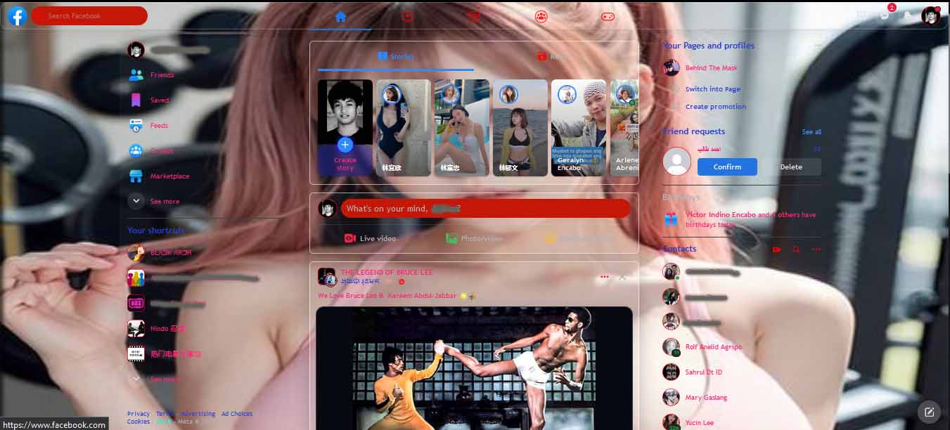 Facebook Glass Pane Theme/Skin