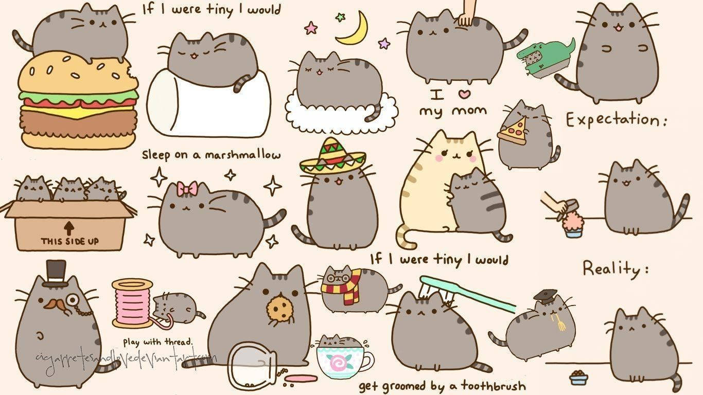 cute pusheen