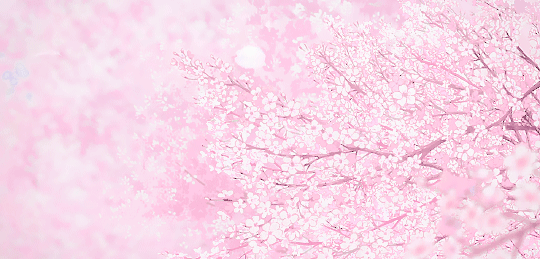 Pink Sakura
