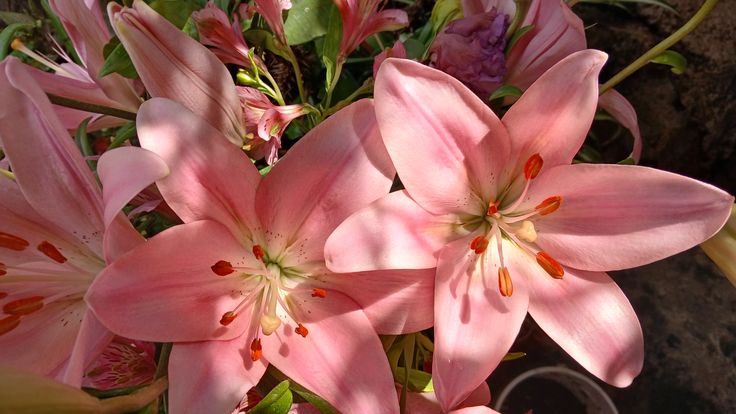 google calendar style 2026