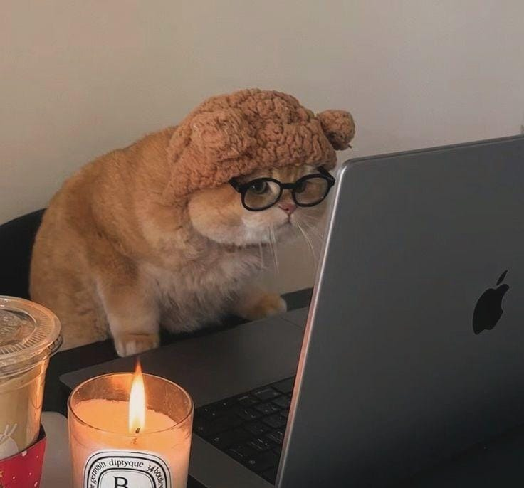 Pastel NotebookLM Theme