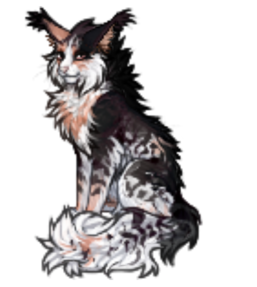 новая стойка