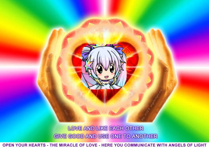 moe cute bear kow