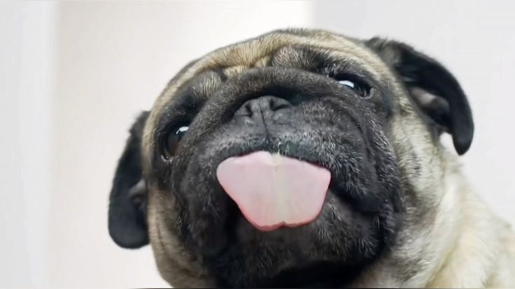 MOPS