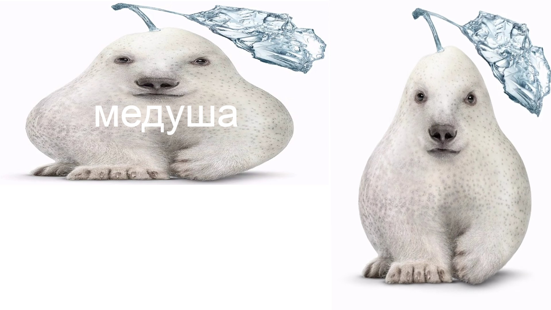 polar pear