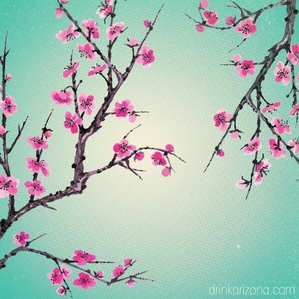 cherry blossom aesthetics