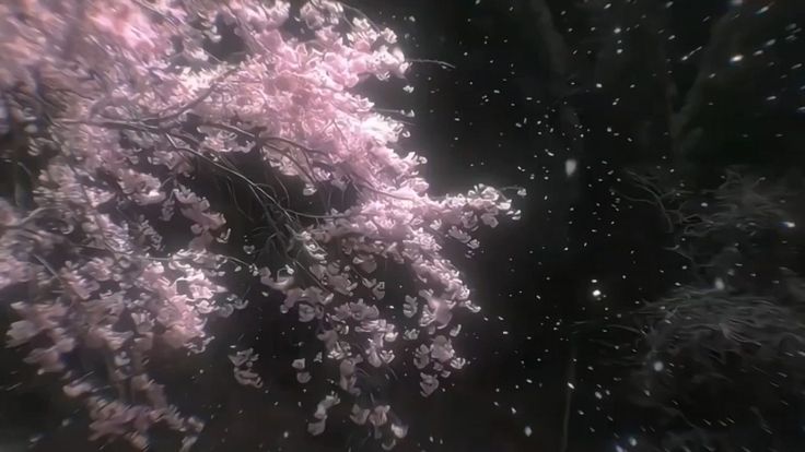 pinkgpt