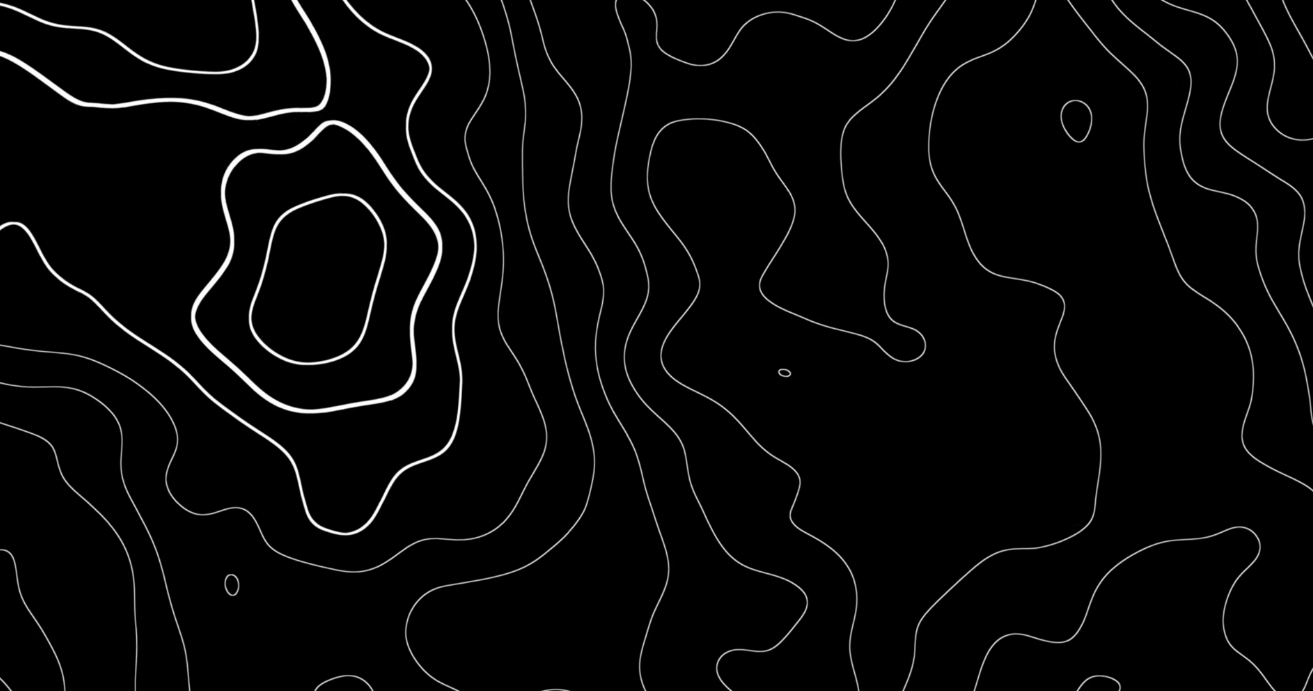Black and white Topographic