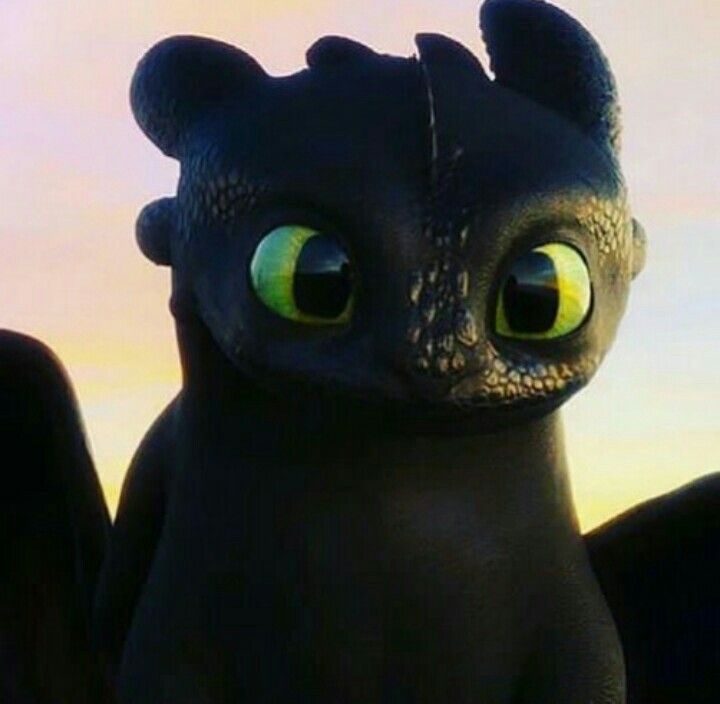 toothlessa