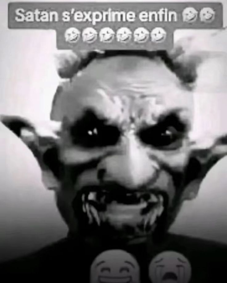 Leakys