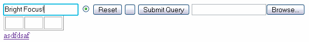 Bright Focus (for buttons, links, and textboxes)