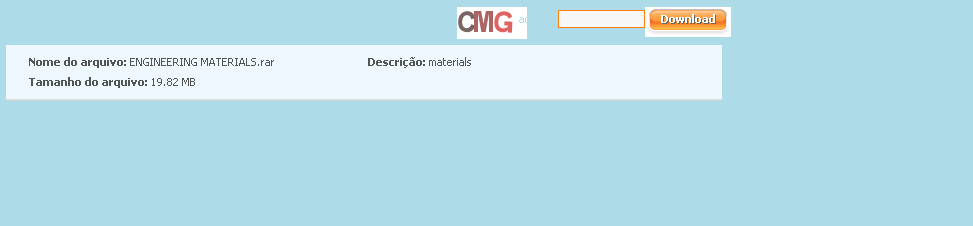 Megaupload Focus