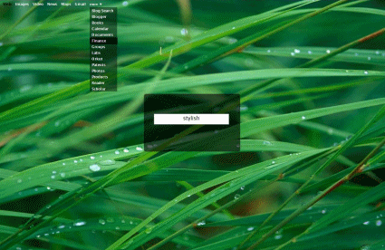 Google Leopard Search