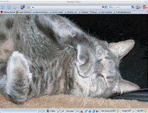 About:Blank - Kitty